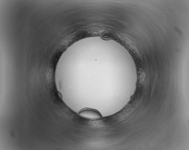 X0000116860283201001051431