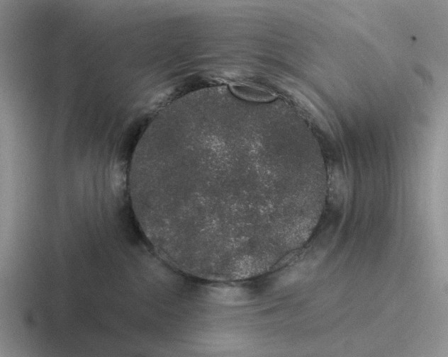 X0000116860284201001051431