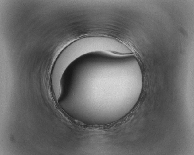 X0000116860289201001051430