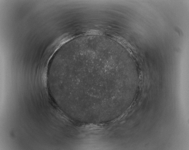 X0000116860290201001051430