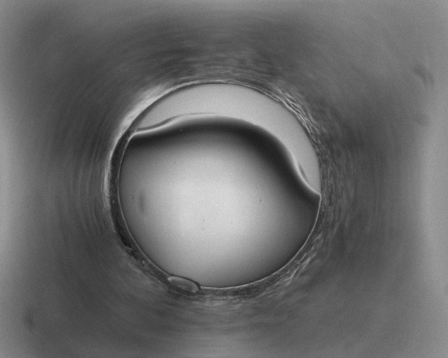 X0000116860292201001051430