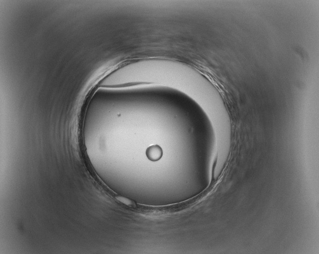 X0000116860293201001051430