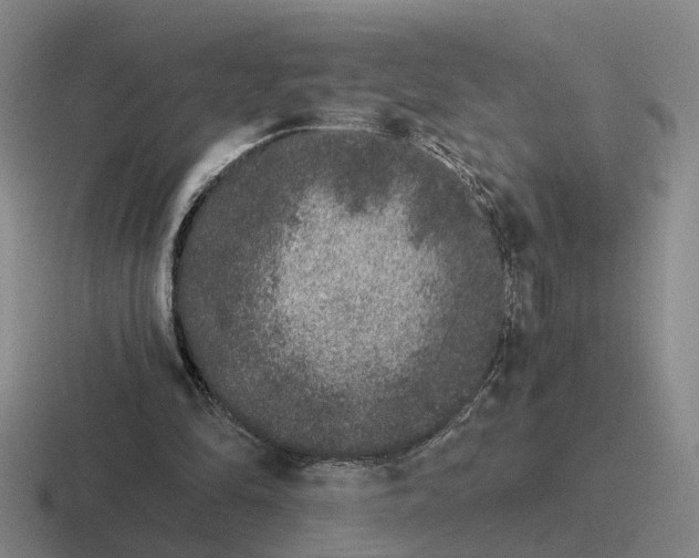 X0000116860294201001051430