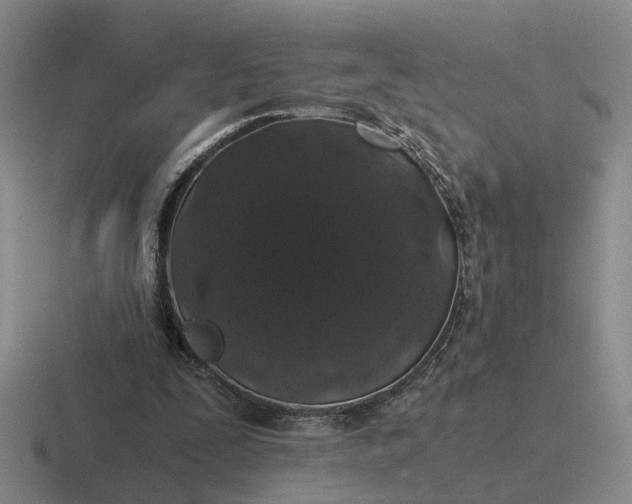 X0000116860295201001051430