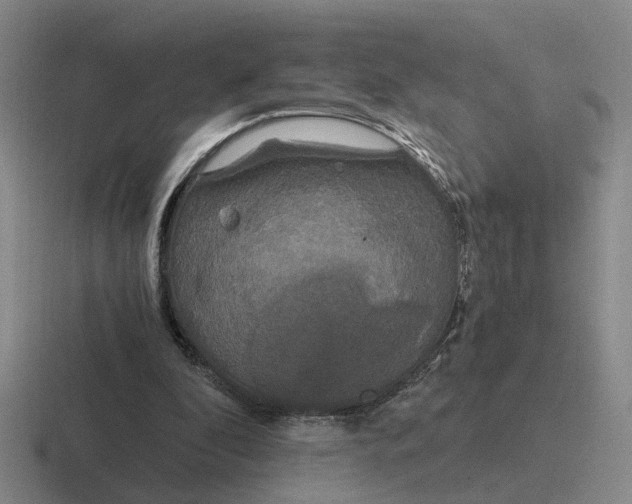 X0000116860296201001051430