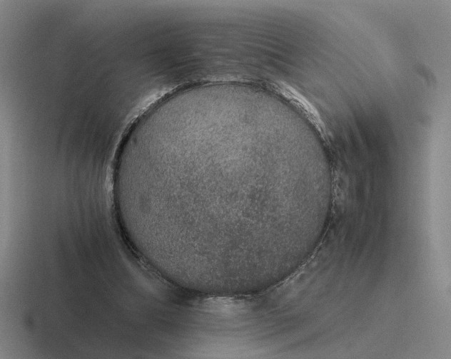 X0000116860298201001051430