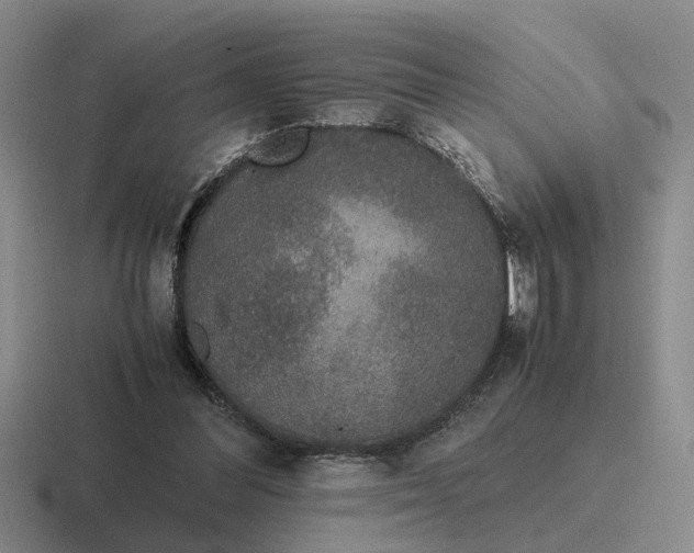 X0000116860300201001051430