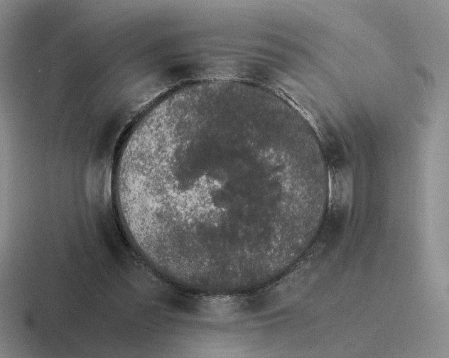 X0000116860301201001051430