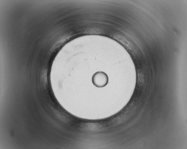 X0000116860302201001051430