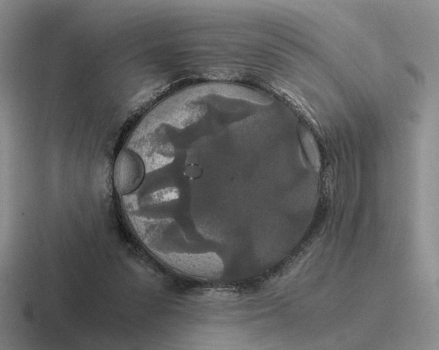 X0000116860303201001051430