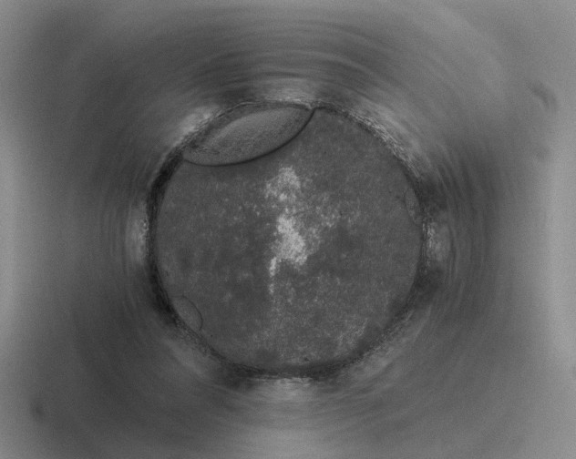 X0000116860304201001051430