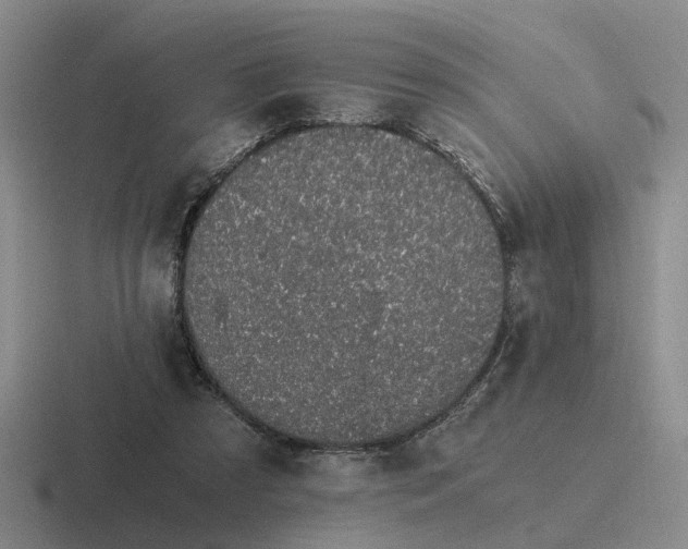 X0000116860305201001051430