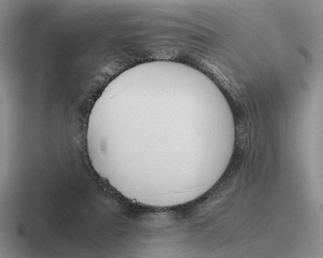 X0000116860307201001051430