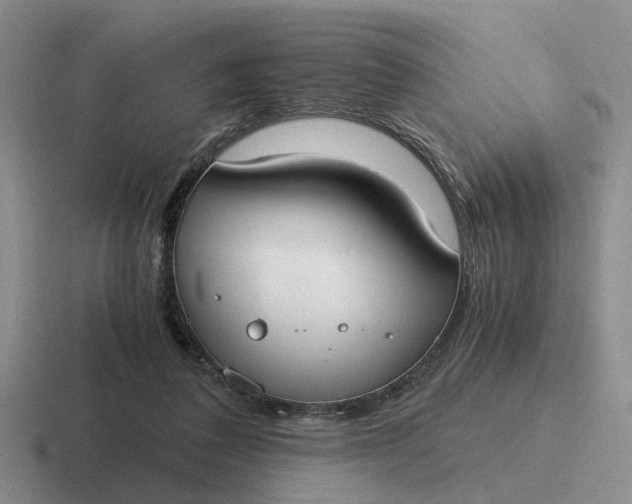 X0000116860308201001051430