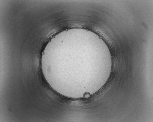 X0000116860309201001051430