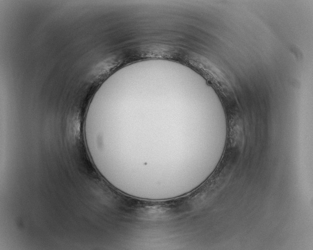 X0000116860310201001051430