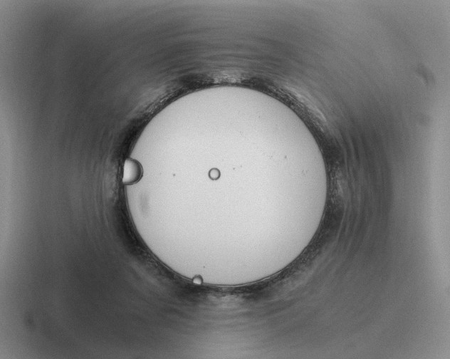 X0000116860311201001051430