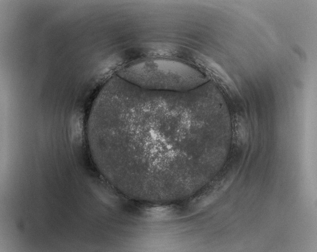 X0000116860312201001051430