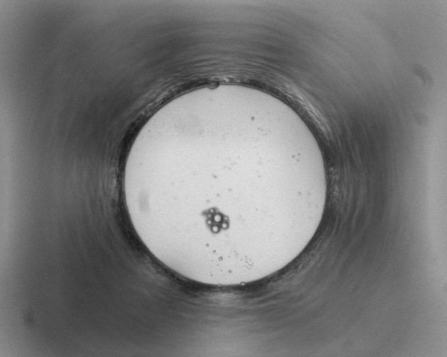 X0000116860313201001051430