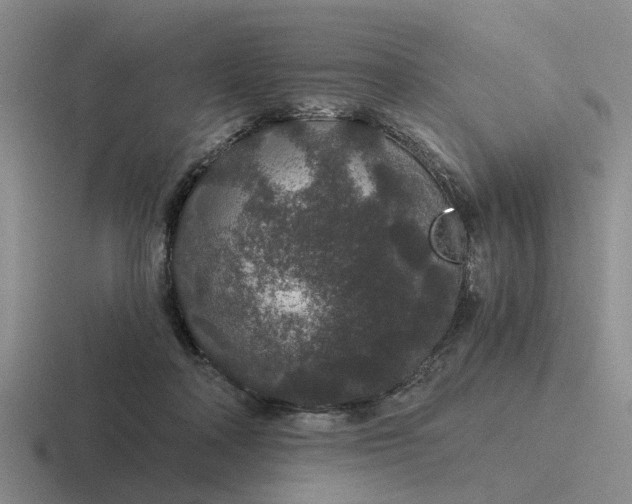 X0000116860314201001051430