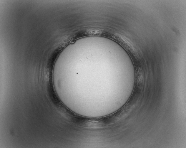 X0000116860315201001051430