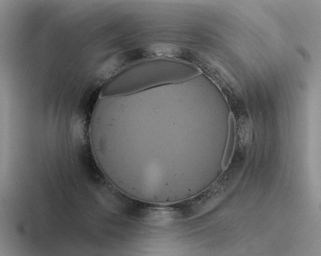 X0000116860316201001051430