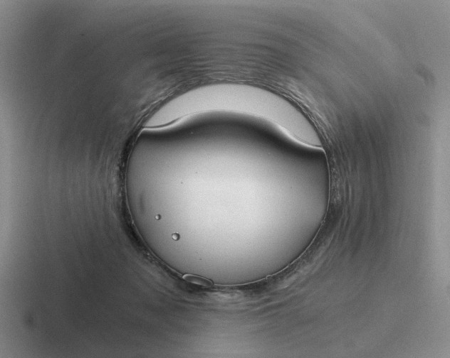 X0000116860317201001051430