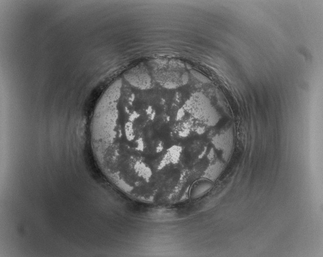 X0000116860319201001051430