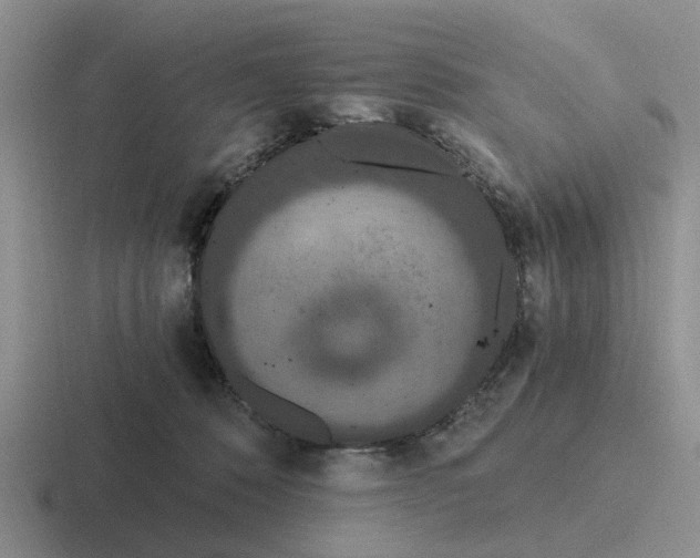 X0000116860320201001051430