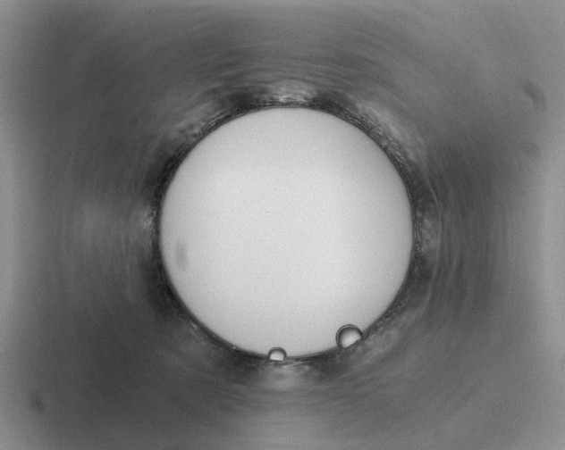 X0000116860321201001051430