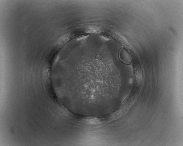 X0000116860322201001051430