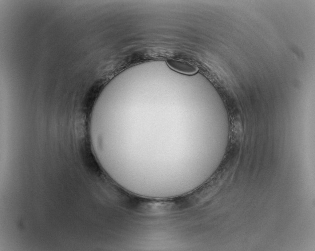 X0000116860323201001051430