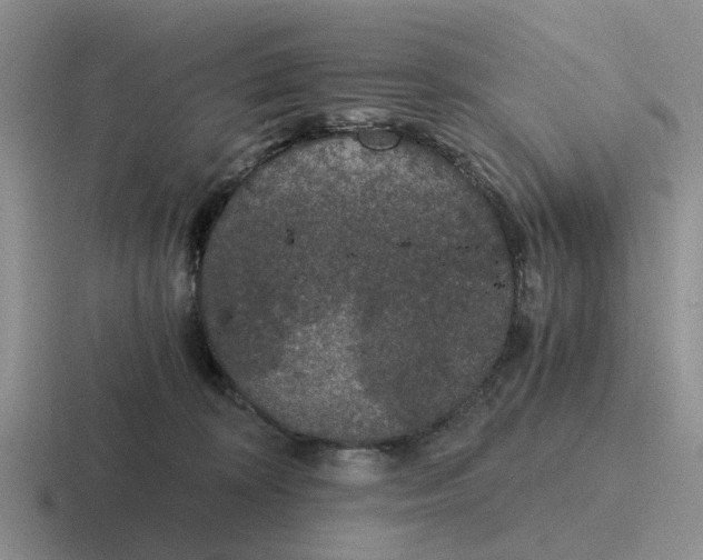 X0000116860324201001051430