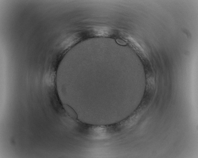 X0000116860325201001051430