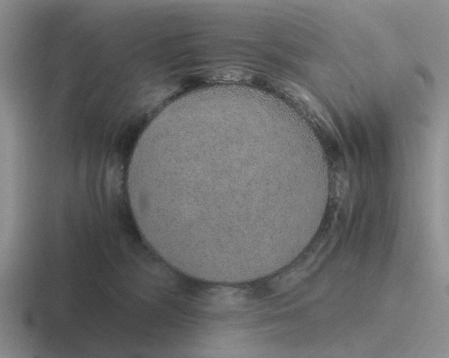 X0000116860326201001051430