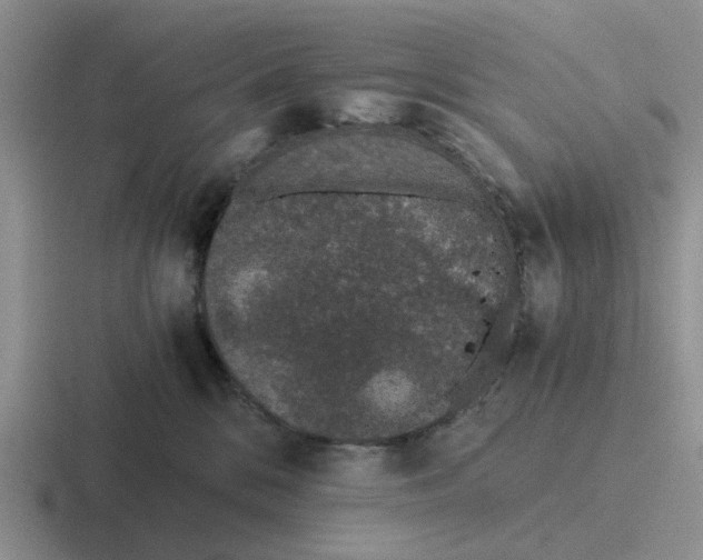 X0000116860328201001051430