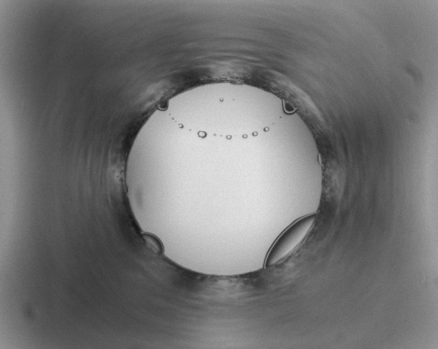 X0000116860329201001051430