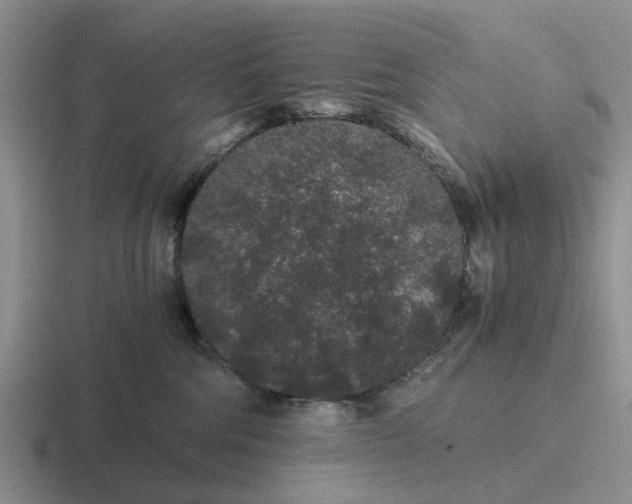 X0000116860330201001051430