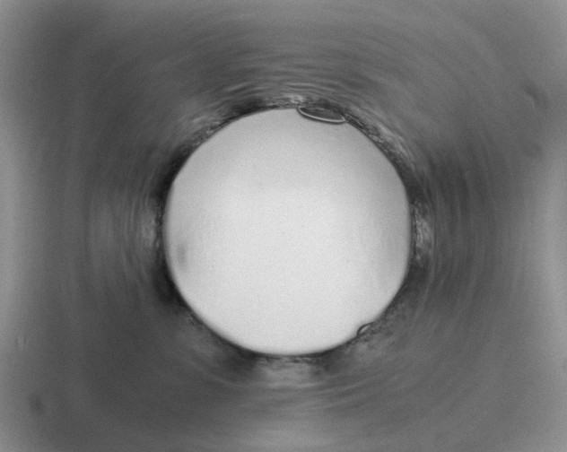 X0000116860331201001051430