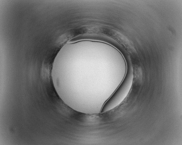 X0000116860333201001051429