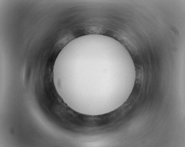 X0000116860334201001051429