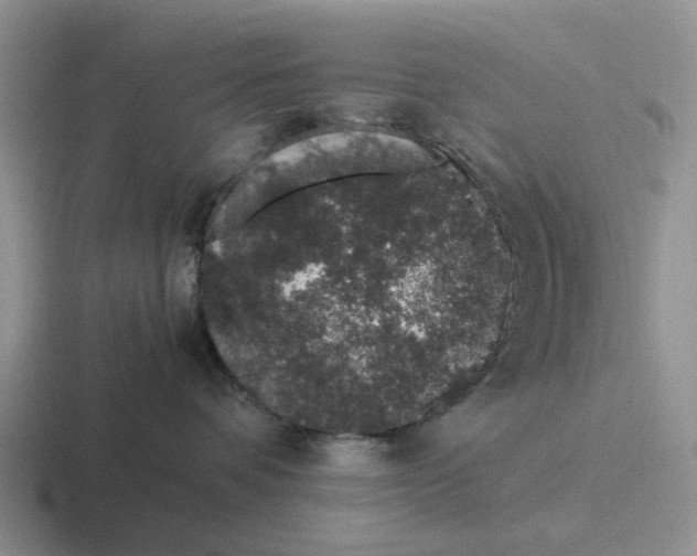 X0000116860336201001051429