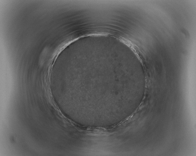 X0000116860337201001051429