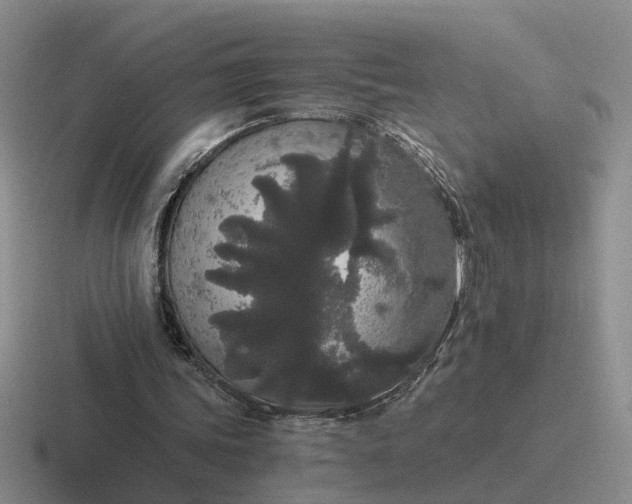 X0000116860339201001051429