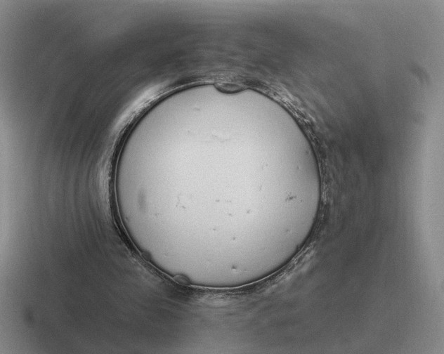 X0000116860341201001051429