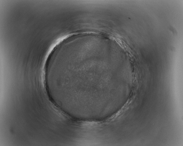 X0000116860342201001051429