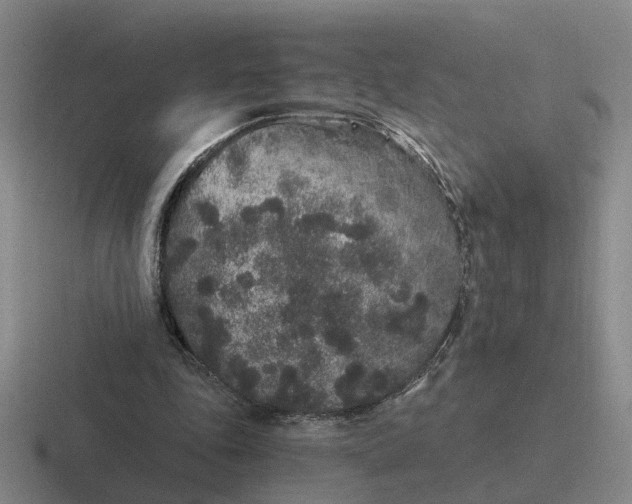 X0000116860343201001051429