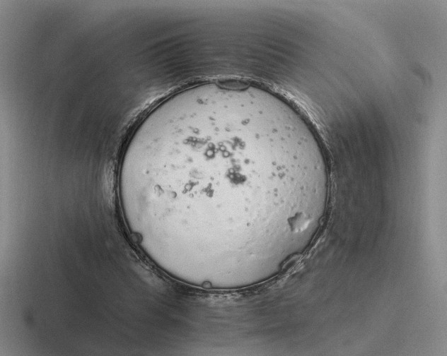 X0000116860345201001051429