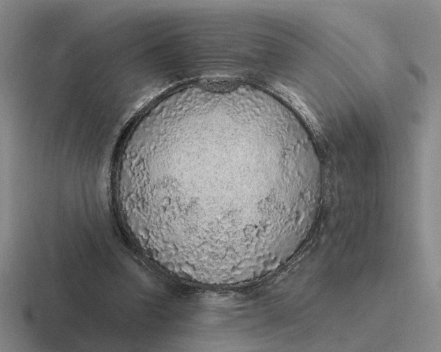 X0000116860346201001051429