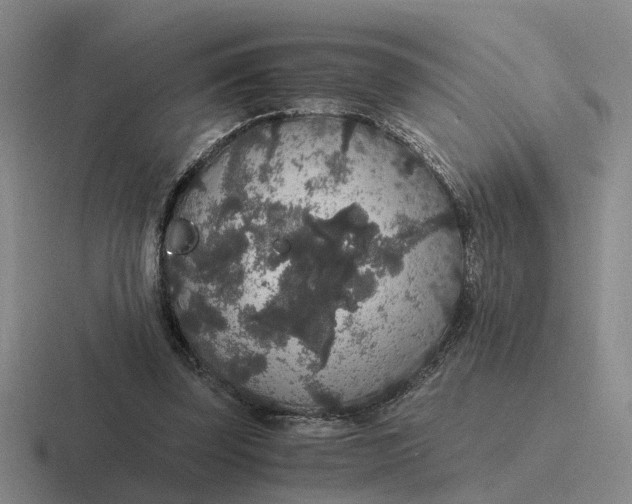 X0000116860347201001051429